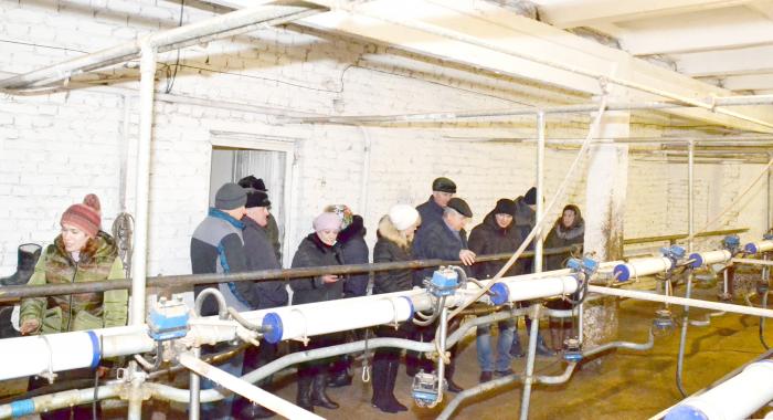 В доильном зале на ферме крестьянского (фермерского) хозяйства В.В. Красавина в Стексове