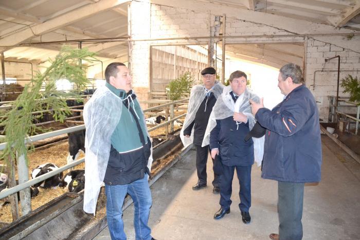 О состоянии дел на животноводческом комплексе в Круглове министру Н.К. Денисову рассказали гендиректор ООО А.В. Анисимов (на снимке слева) и управляющий отделением А.В. Родьков
