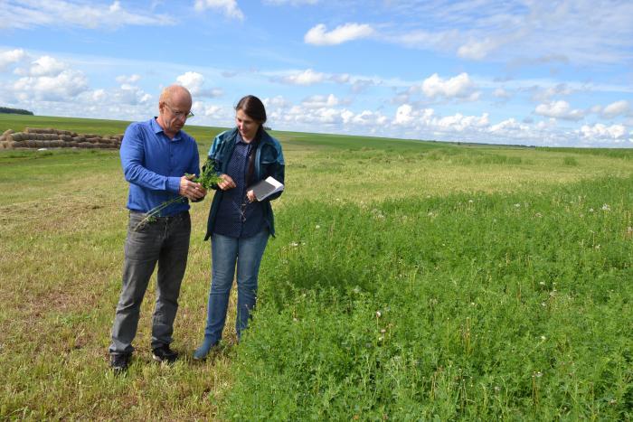 Исполнительный директор С.А. Анохин и главный агроном О.П. Устименко: «Опасно ждать, когда травы поднимутся»
