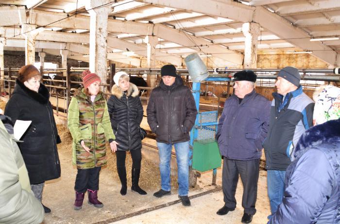 Главный зоотехник племенного хозяйства ООО «Меридиан-Голяткино» Ю.А. Ларкина, генеральный директор Ю.В. Грачева и начальник производственного отдела В.А. Канаев (на снимке в центре) рассказали участникам выездного совещания о своих достижениях в животноводстве, реконструкции молочного комплекса на 730 голов в Личадееве